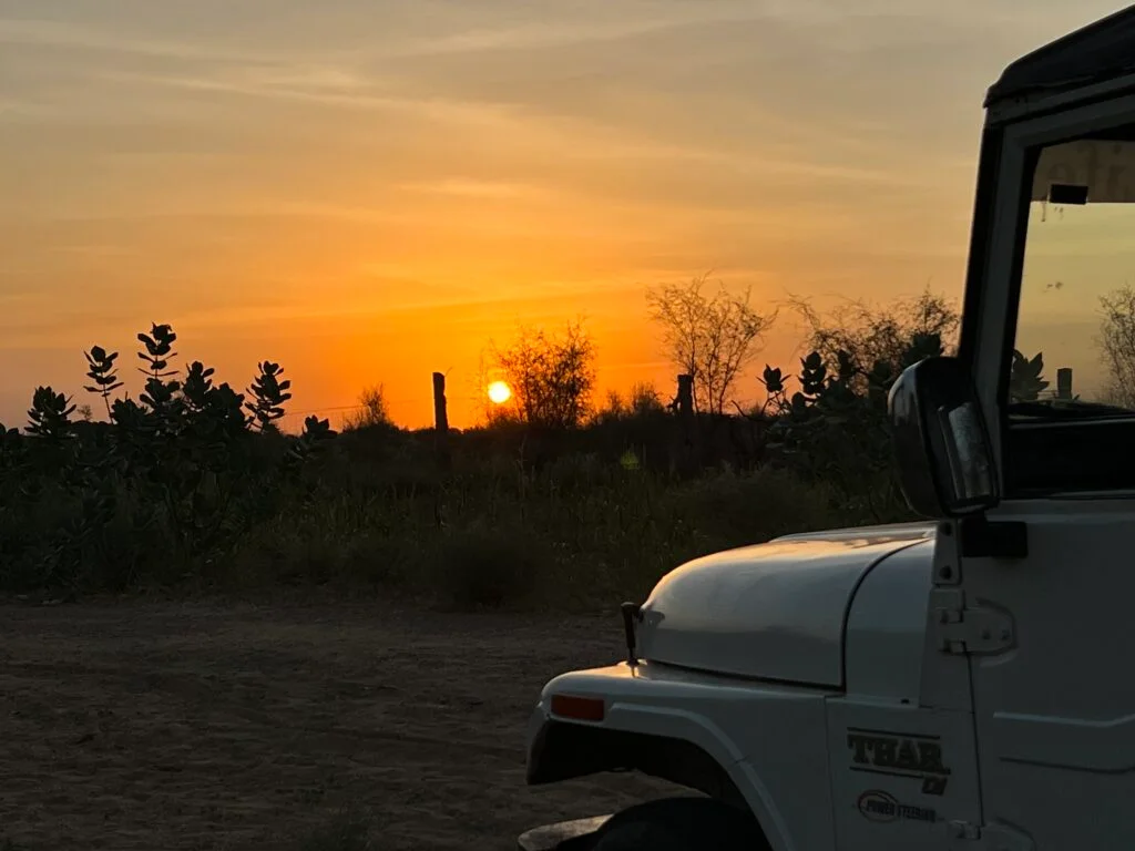 Jeep Safari